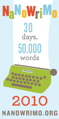 nanowrimo_05_120x240